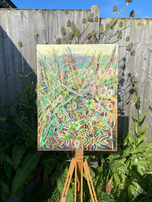 Evening Ditch